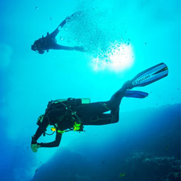 Couple Diving in Goa