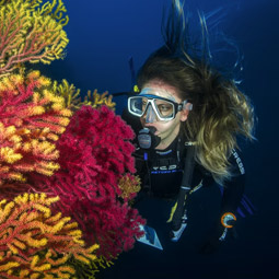 Couple Diving in Goa