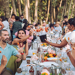 Feast in the Fields Goa