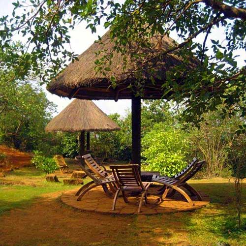 Xo Experiences & Activities in Goa